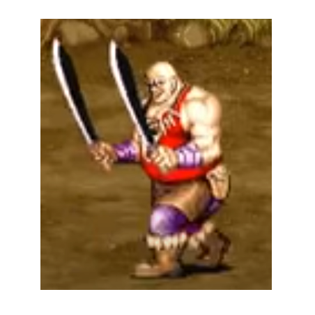 Hummingbird printed sweater